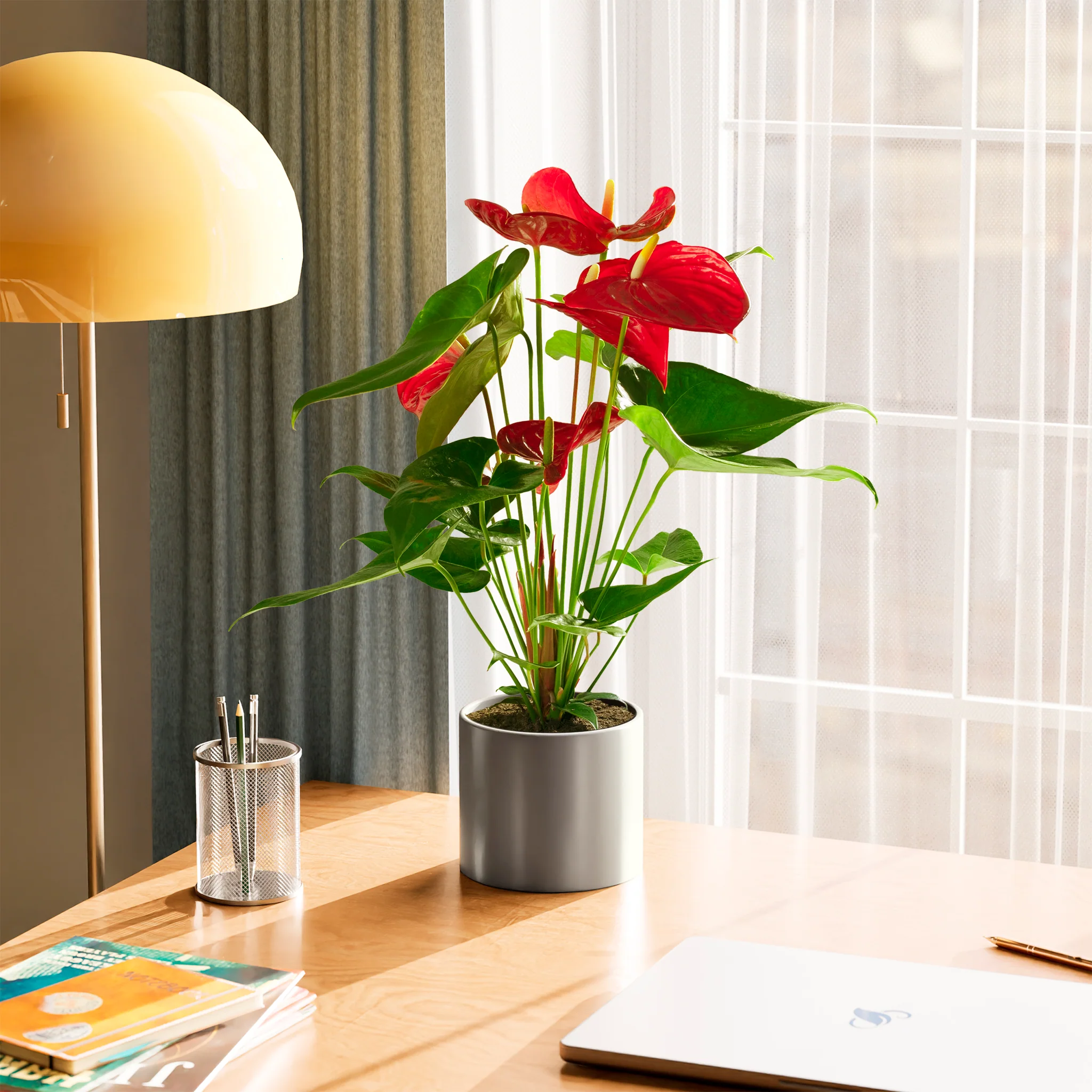 Product image 67