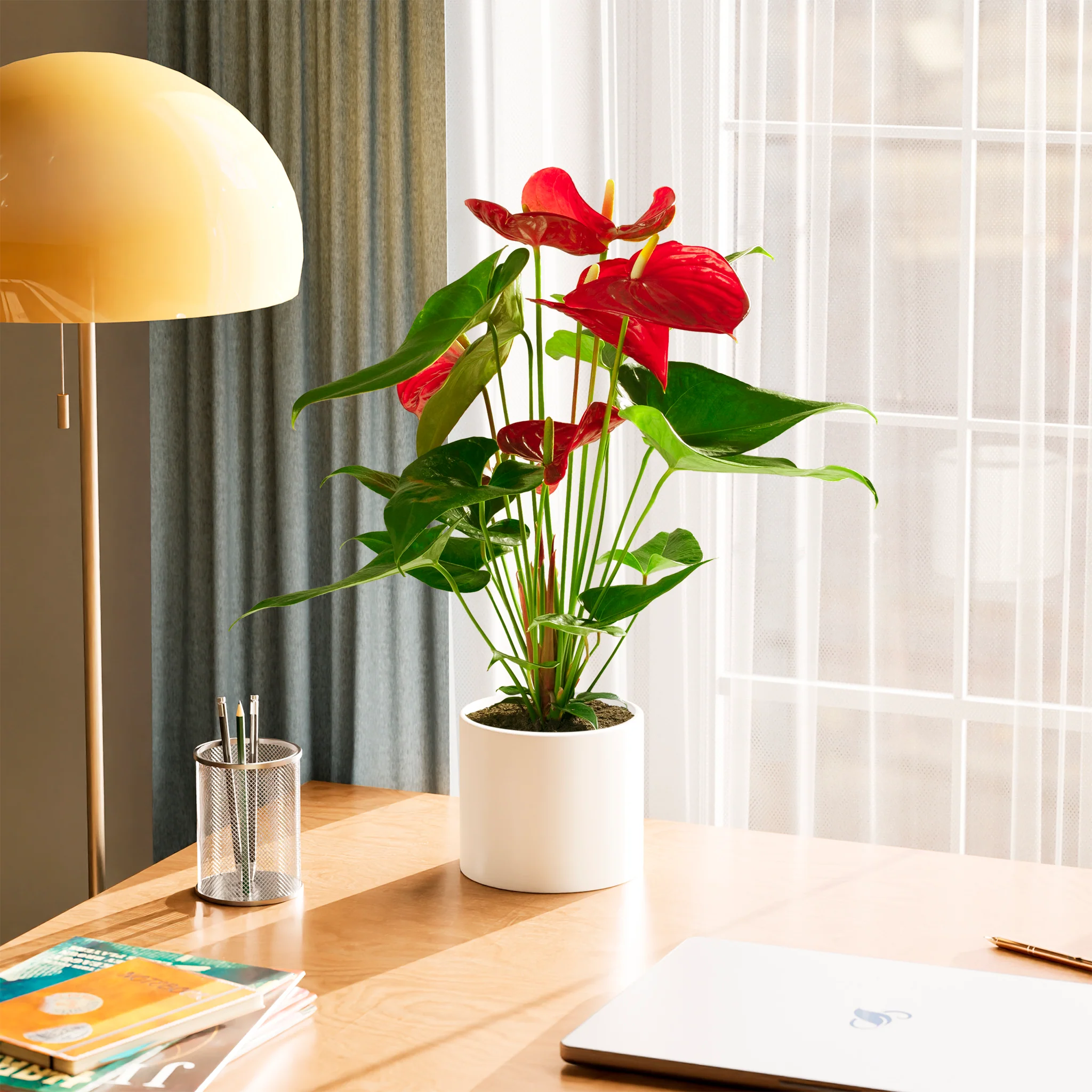Product image 69