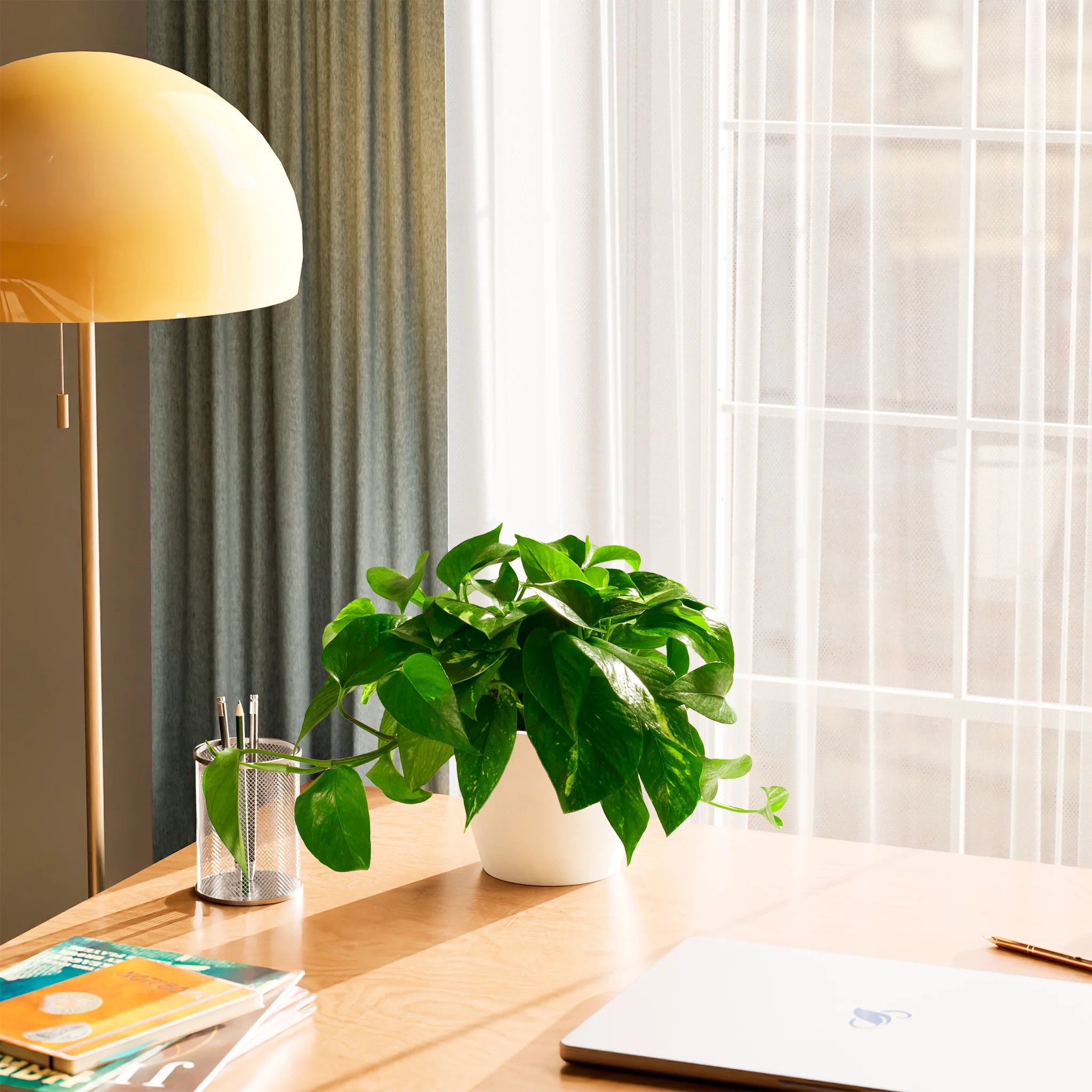 Product image 52