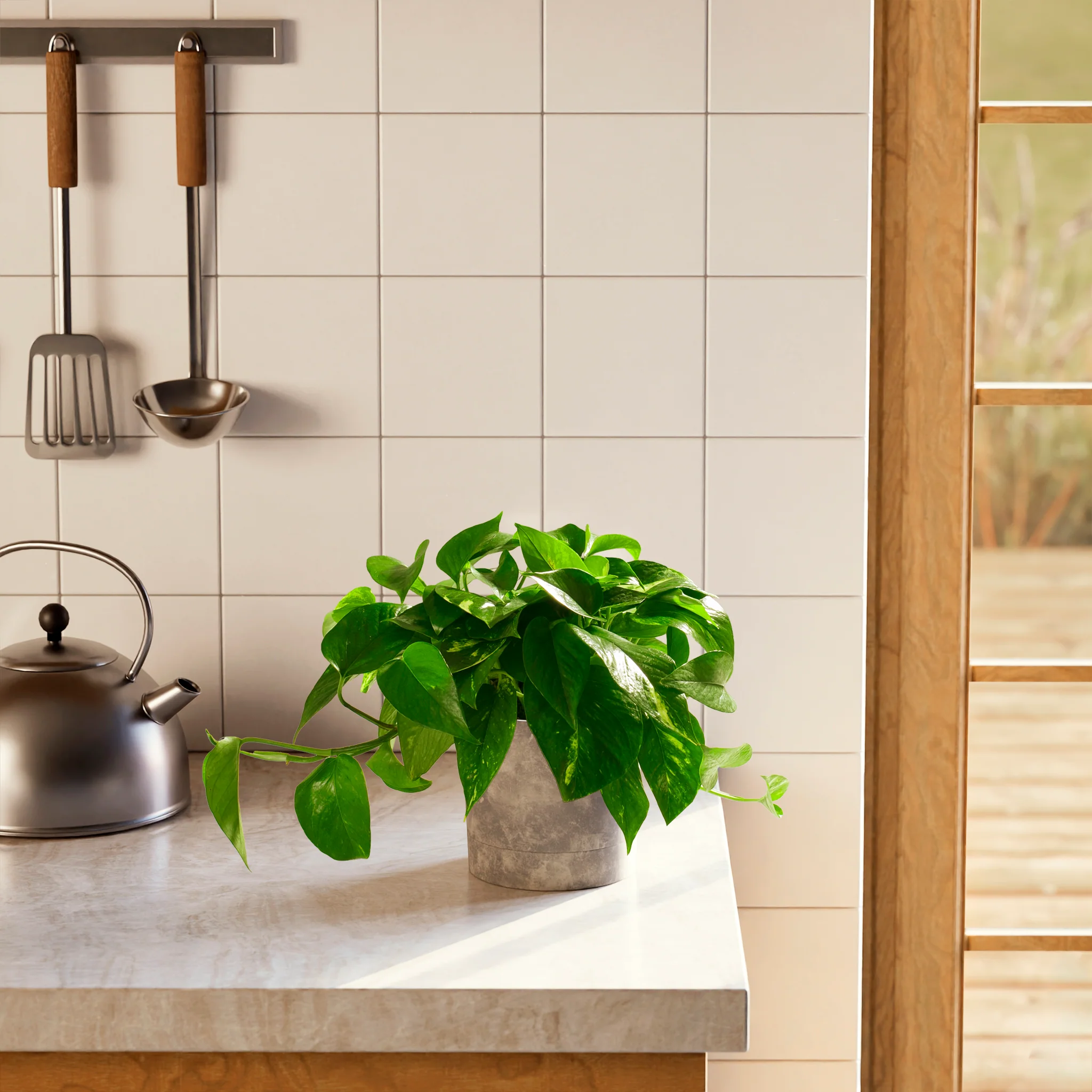 Product image 64