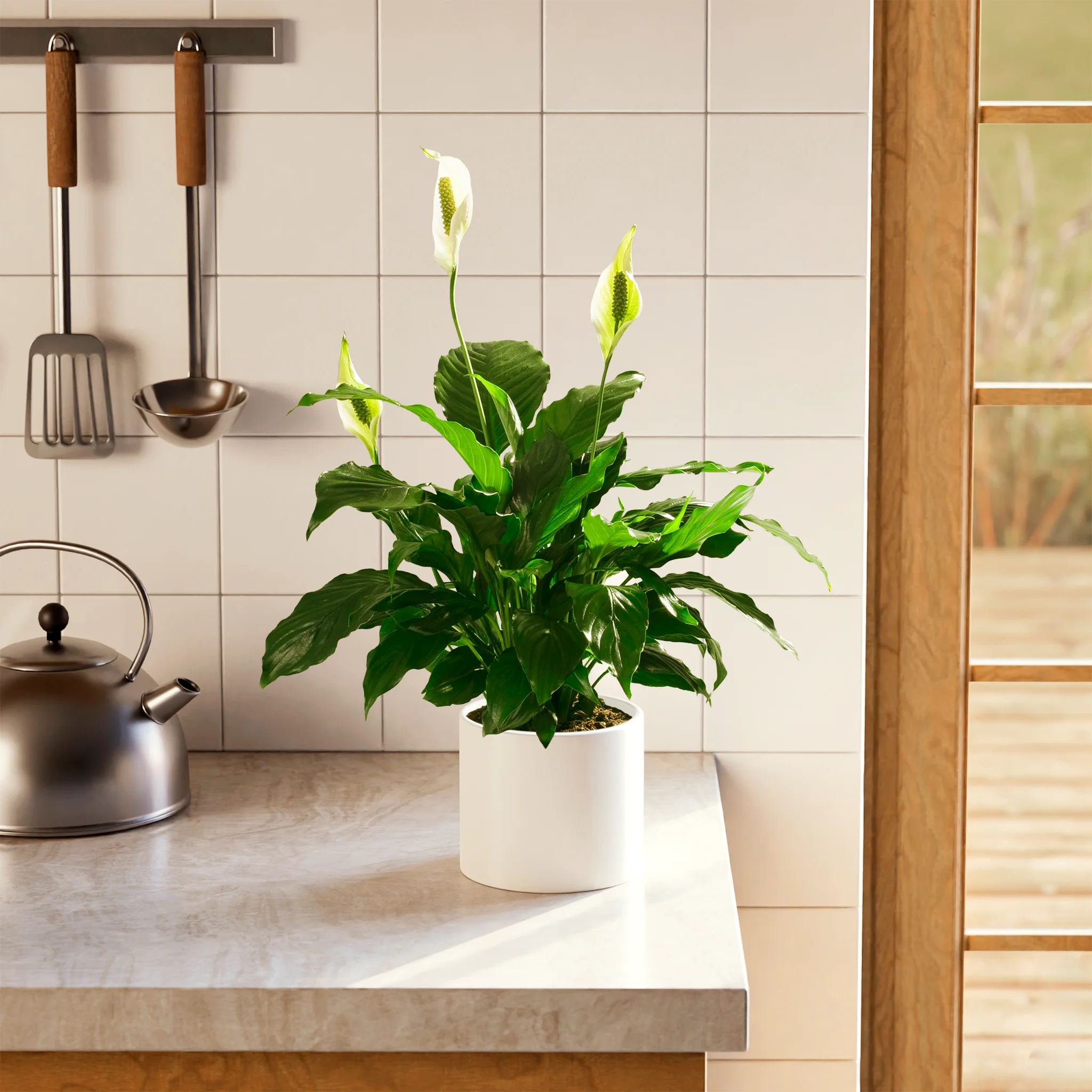 Product image 60